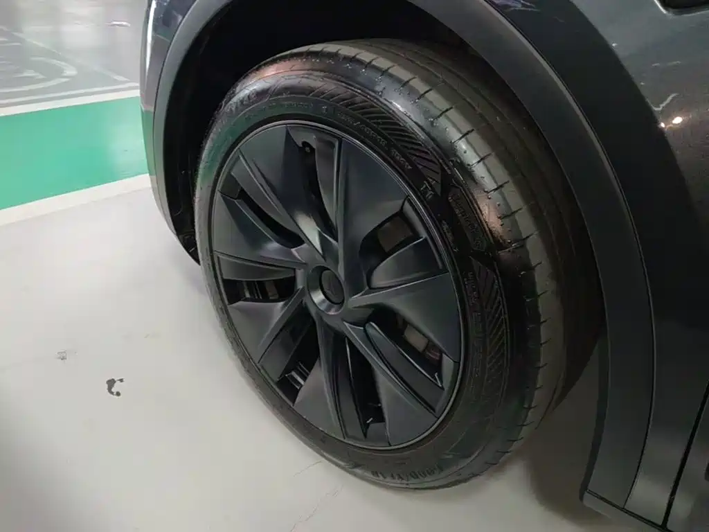 Tesla Model Y — миниатюра 23