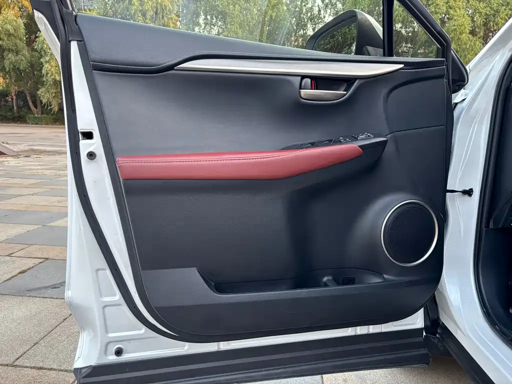 Lexus NX — миниатюра 14