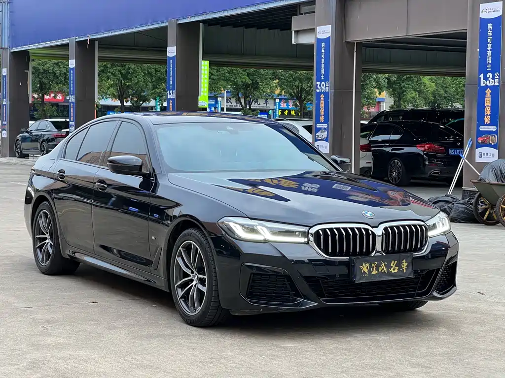BMW 5 Series (Import) — миниатюра 3