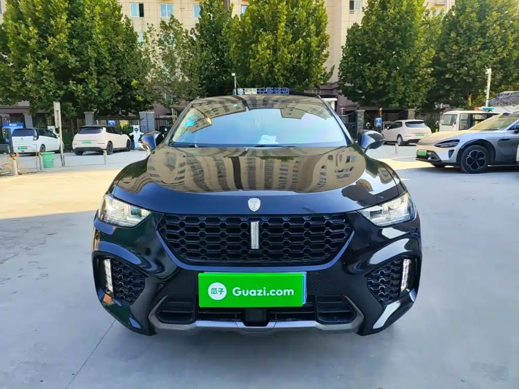 Wey Wey VV5 — миниатюра 3
