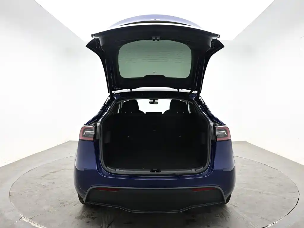 Tesla Model Y — миниатюра 8