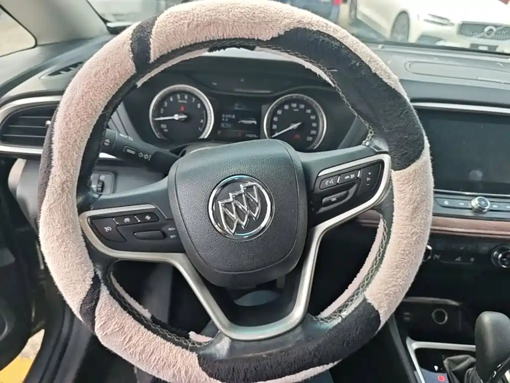 Buick GL6 — миниатюра 11