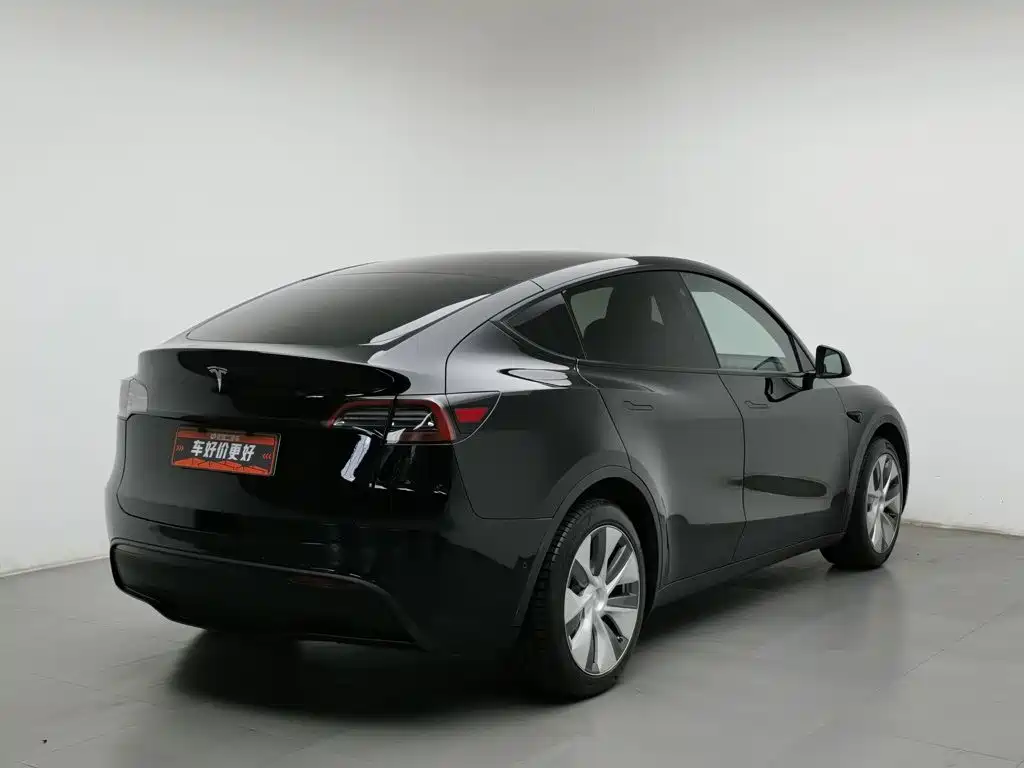 Tesla Model Y — миниатюра 2
