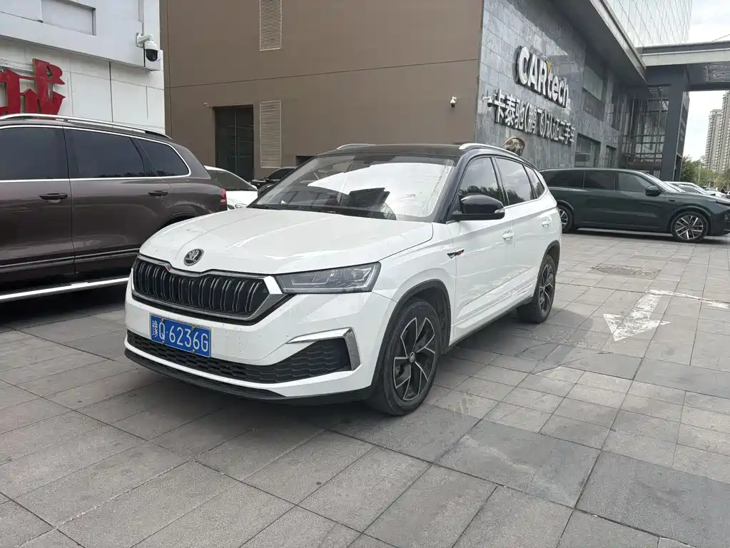 Купить Skoda Kamiq