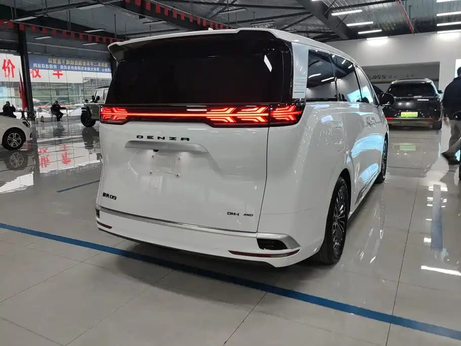 Denza Denza D9 — миниатюра 3