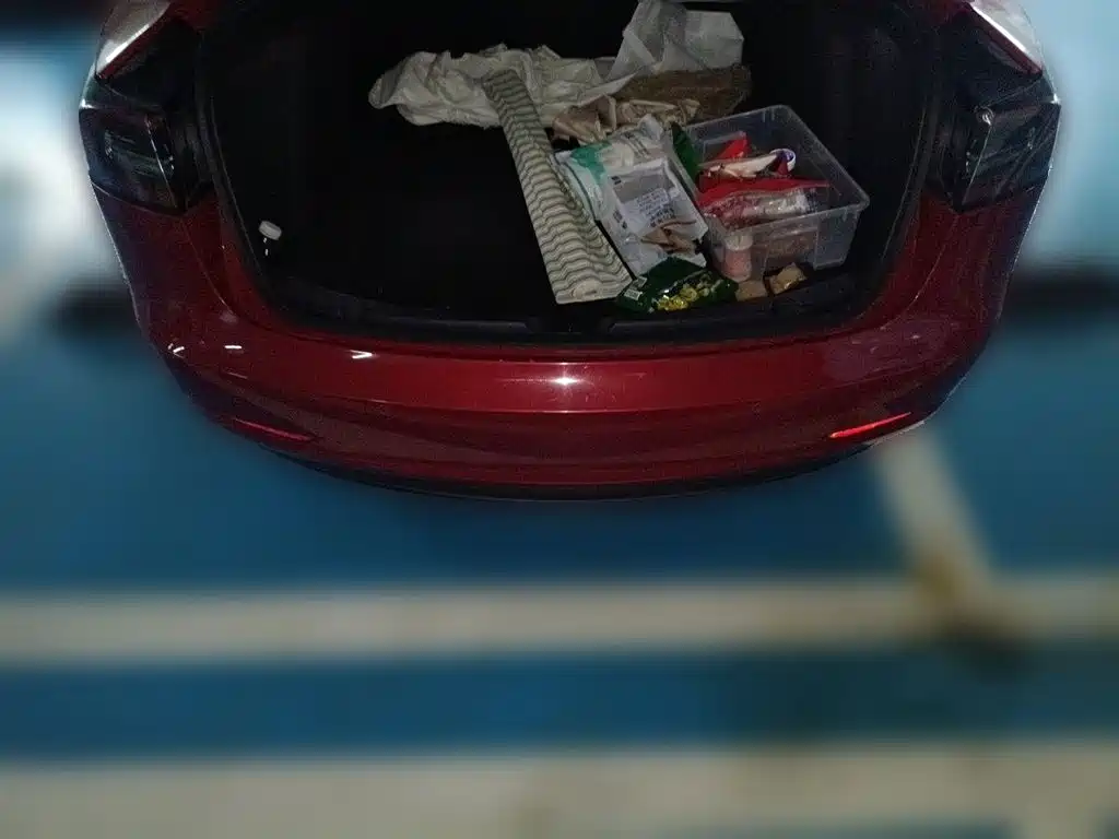Tesla Model 3 — миниатюра 20