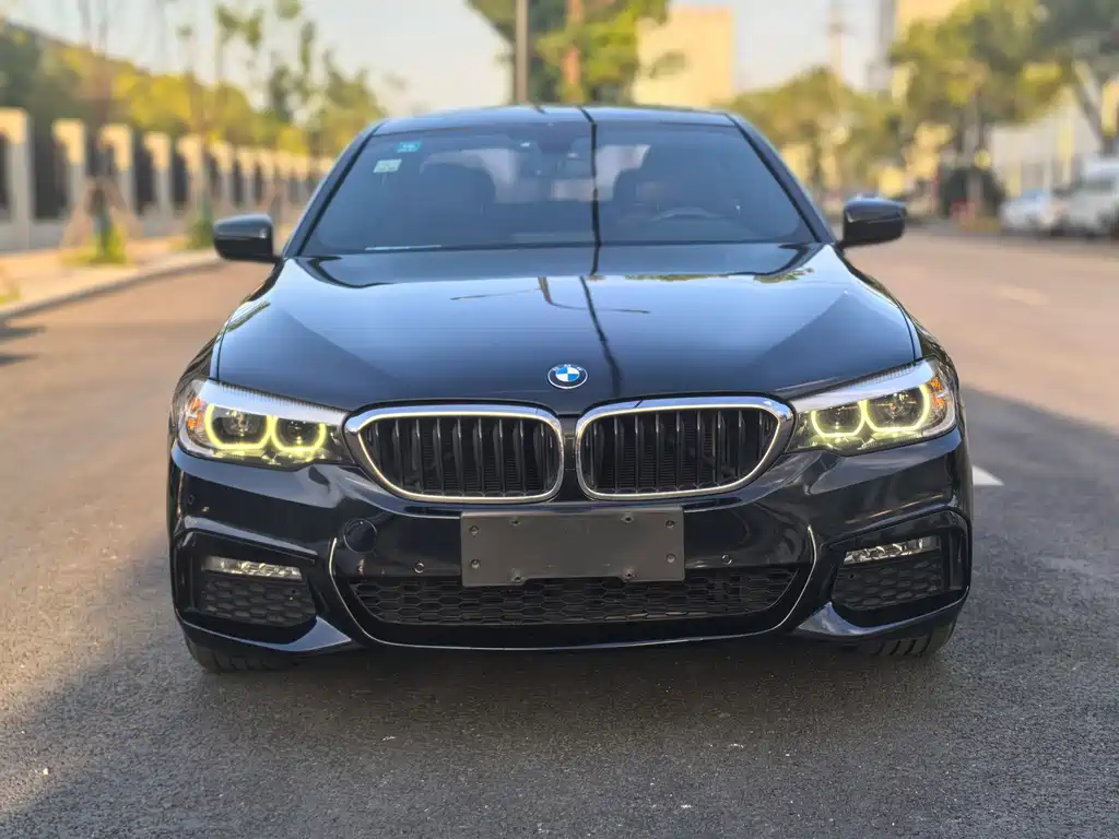 BMW 5 Series — миниатюра 2