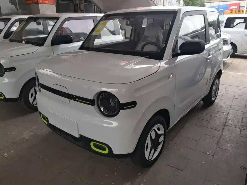 BYD Panda 2025 Panda mini 210km Energetic Bear
