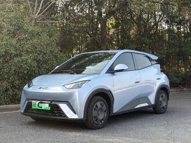 2024 BYD Seagull