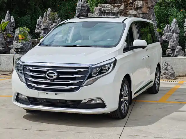 2019 GAC GN8
