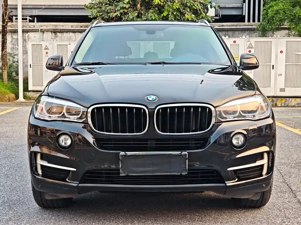BMW X5 (Import) — миниатюра 2