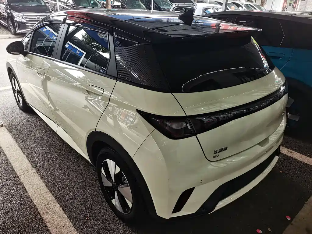 BYD Dolphin 2023 420km Fashion