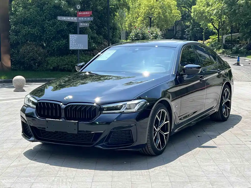 BMW 5 Series (Import) 2021