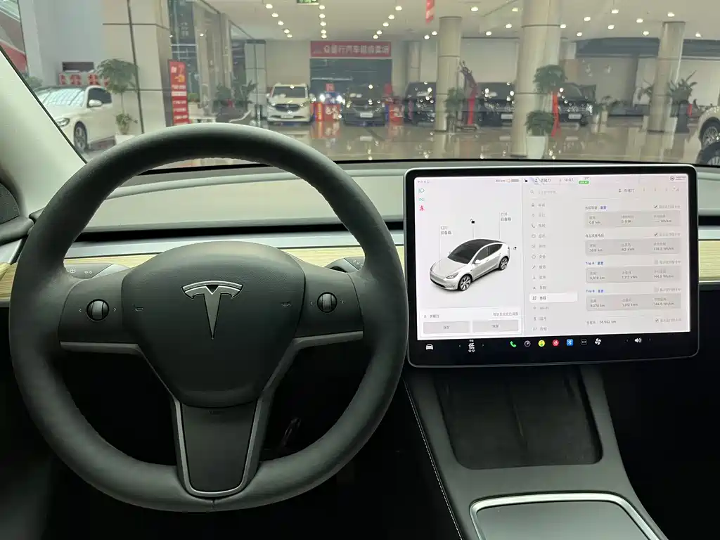 Tesla Model Y — миниатюра 22