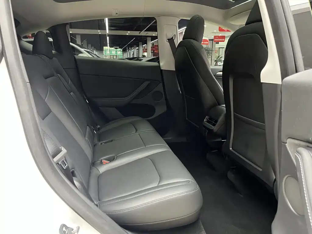 Tesla Model Y — миниатюра 18