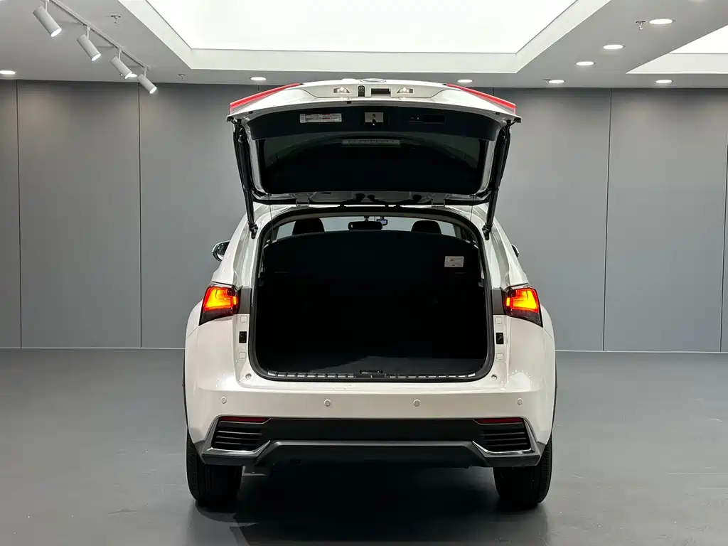 Lexus NX — миниатюра 26