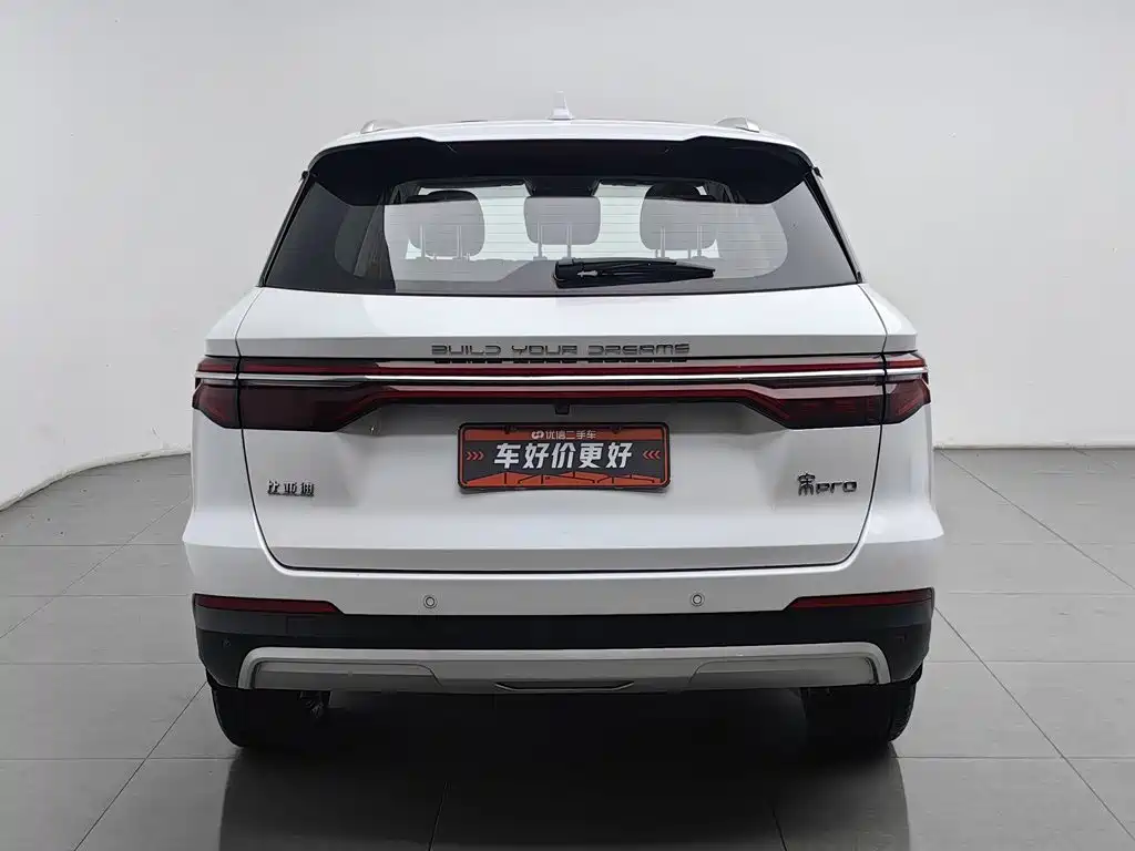 BYD Pro — миниатюра 4
