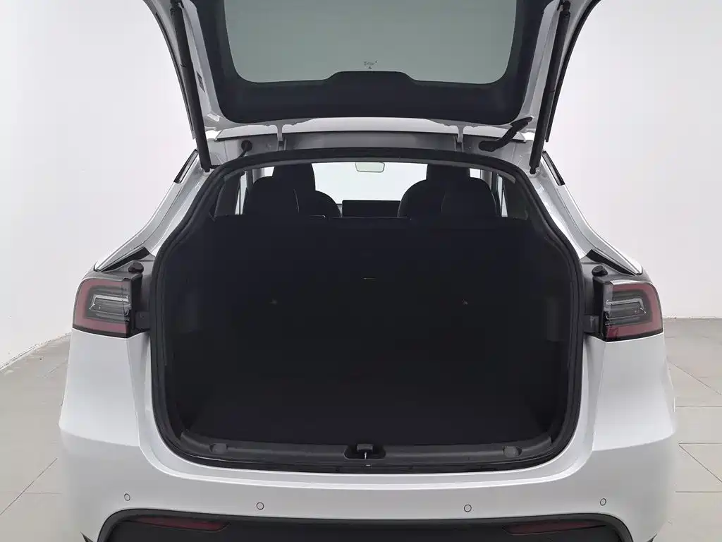 Tesla Model Y — миниатюра 16