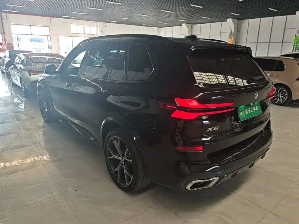 BMW X5 — миниатюра 5