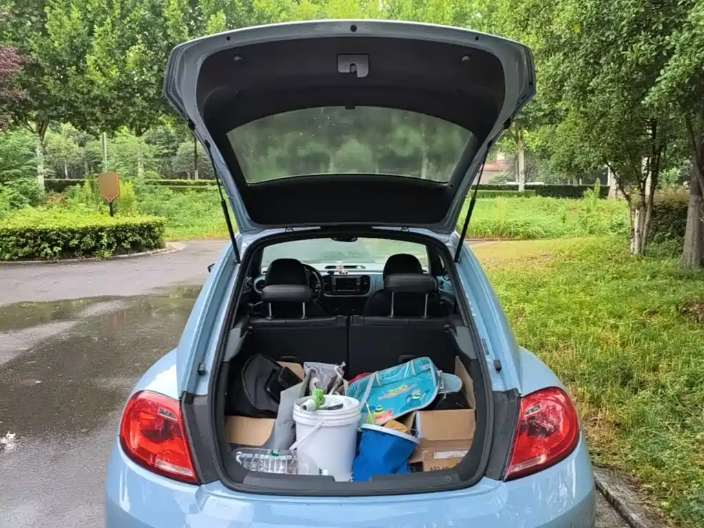 Volkswagen Beetle — миниатюра 19