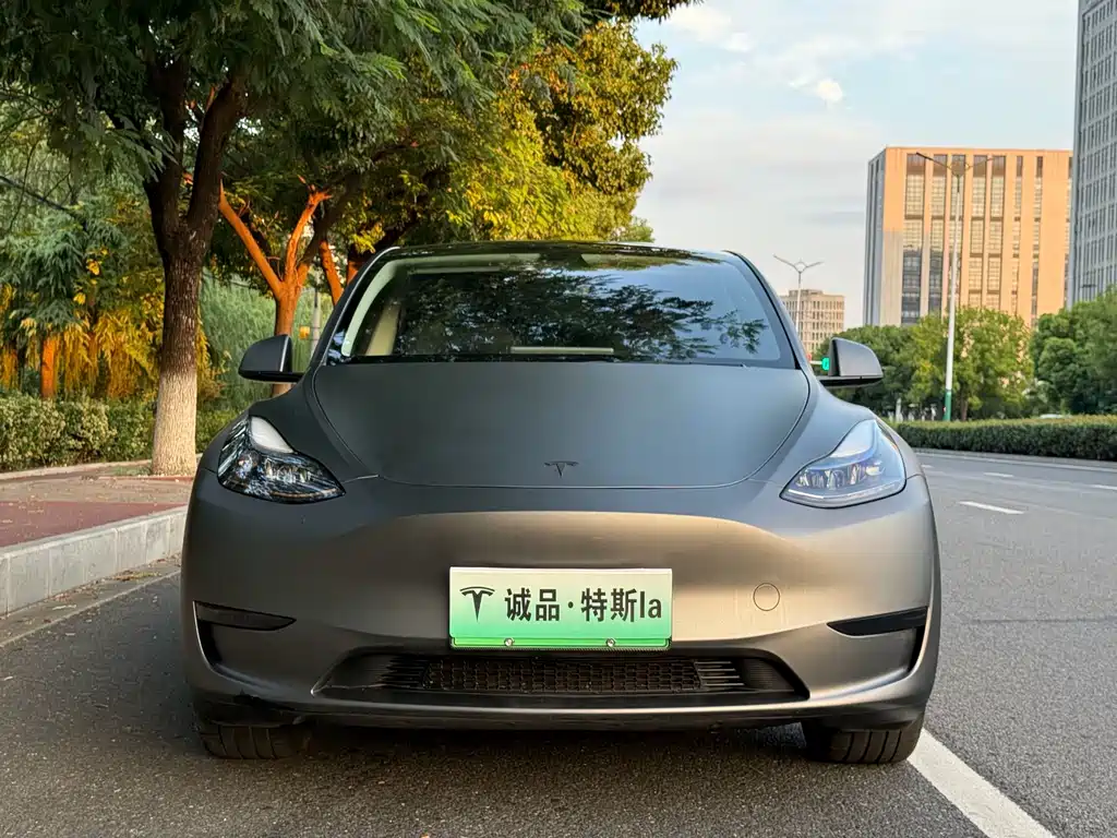 Tesla Model Y — миниатюра 8