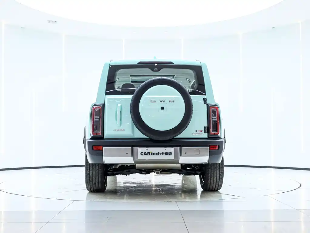 HAVAL RAPTORS NEW ENERGY