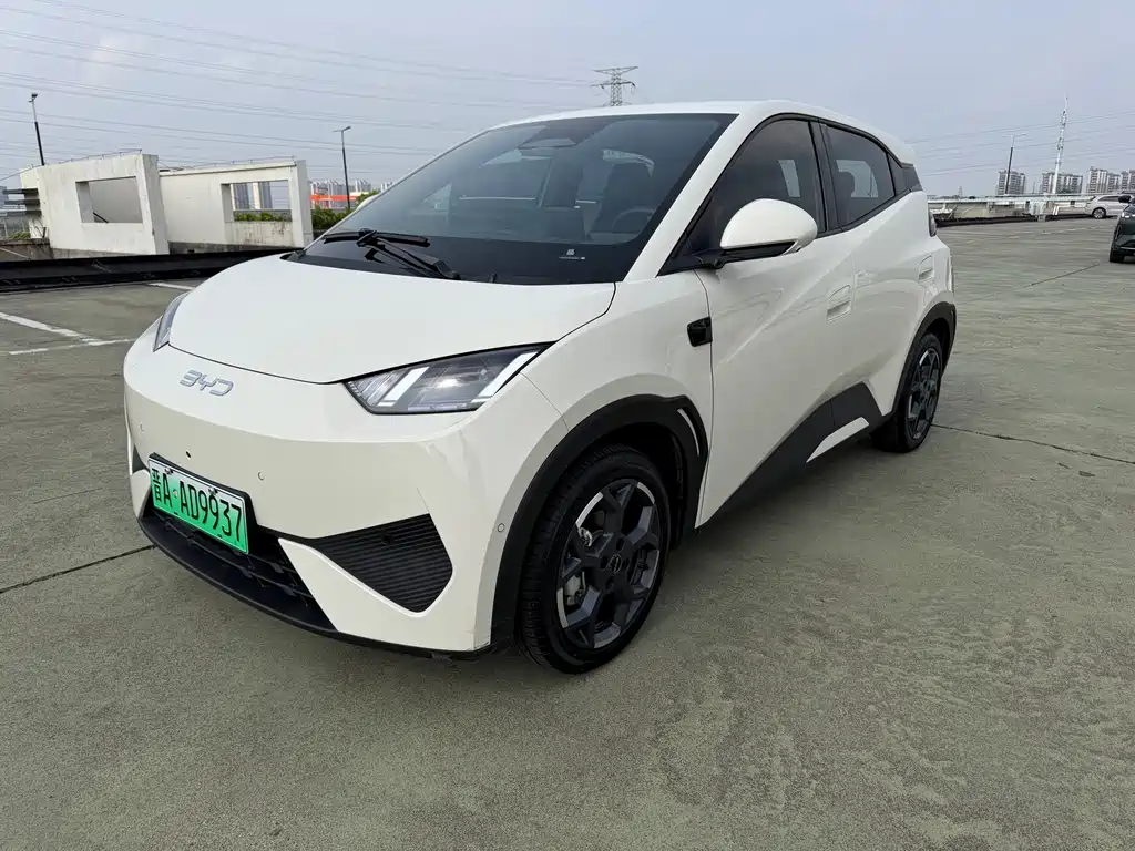 Byd Seagull 2025