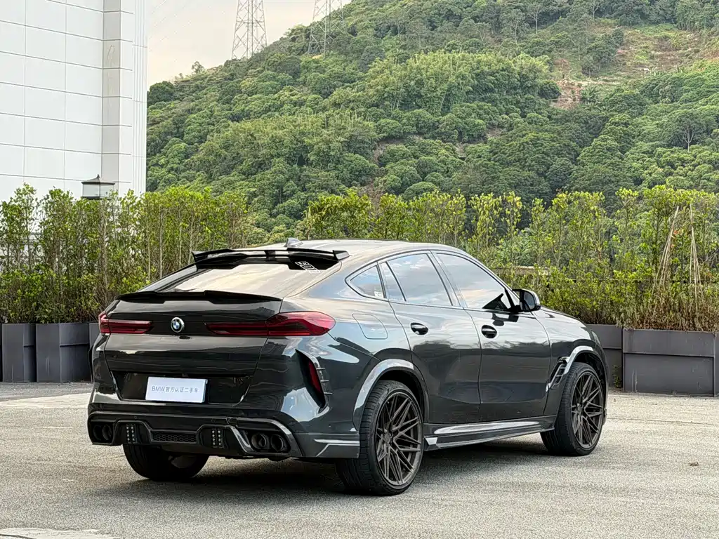 BMW X6 — миниатюра 8