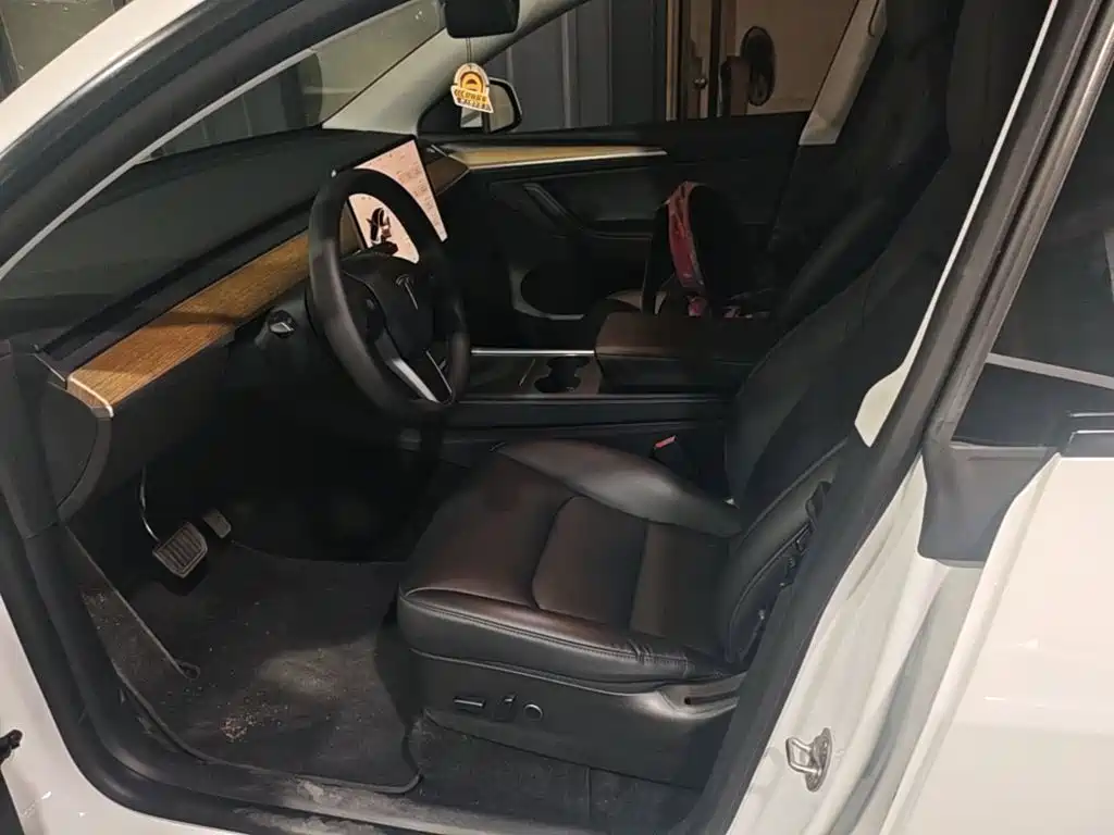 Tesla Model Y — миниатюра 15