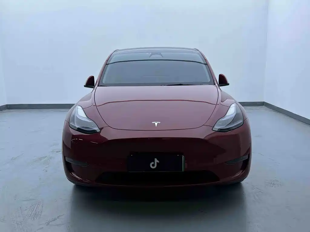 Tesla Model Y — миниатюра 2