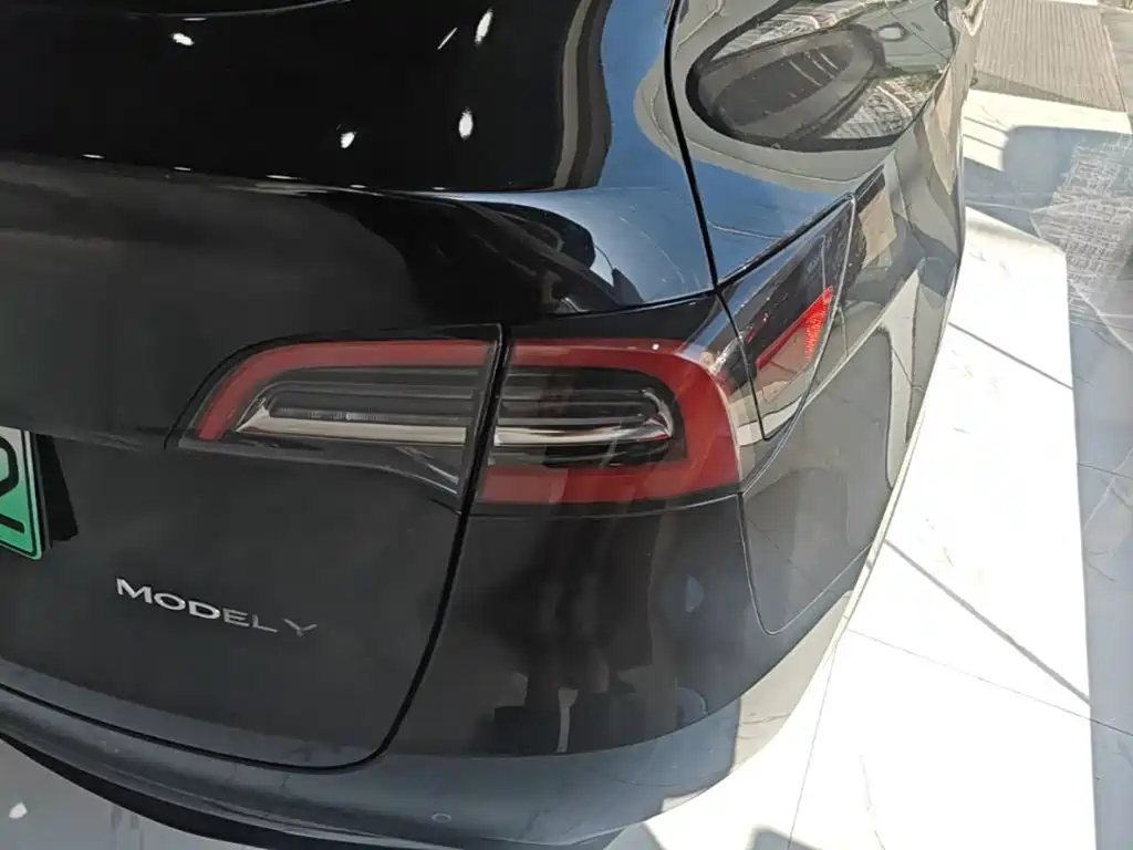 Tesla Model Y — миниатюра 8