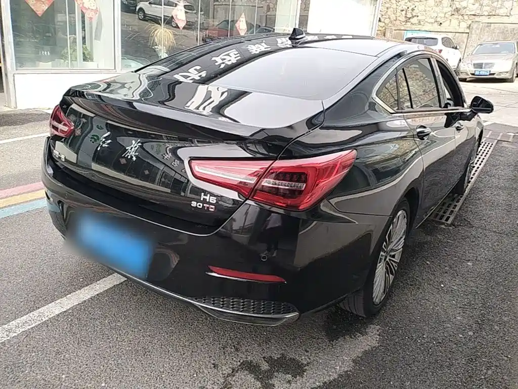 Hongqi Hongqi H5 — миниатюра 7