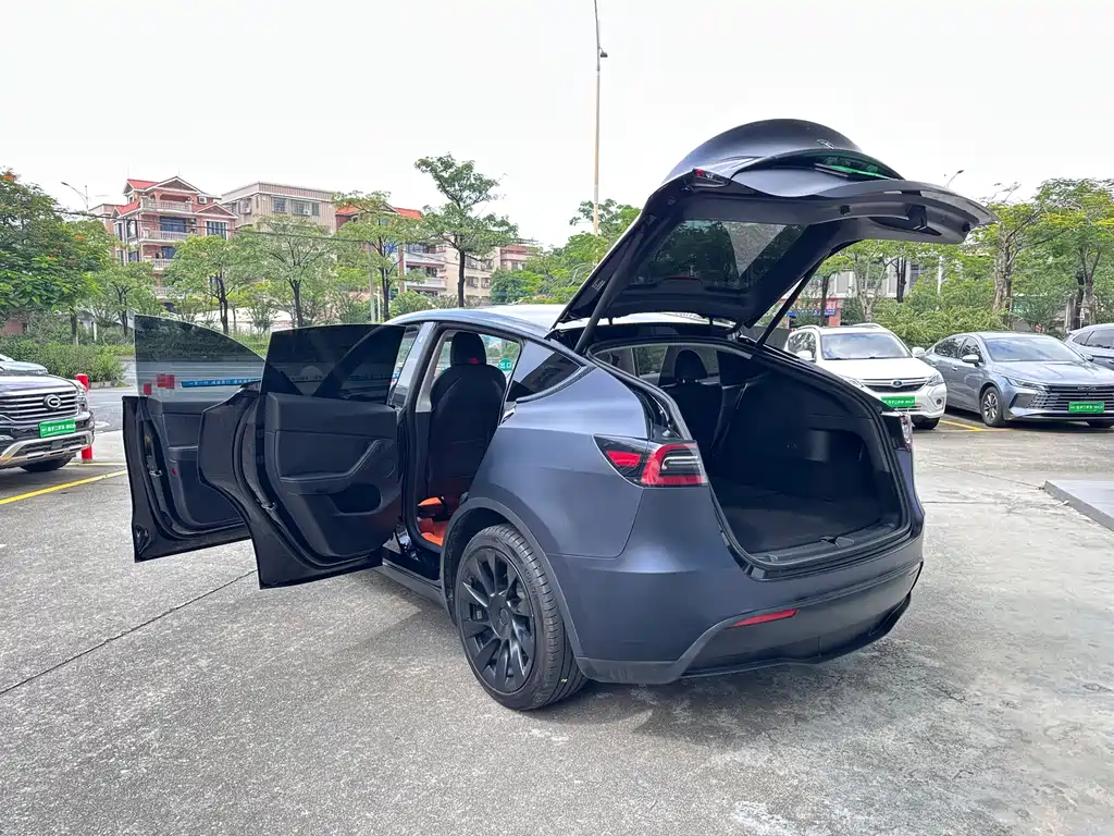 Tesla Model Y — миниатюра 19