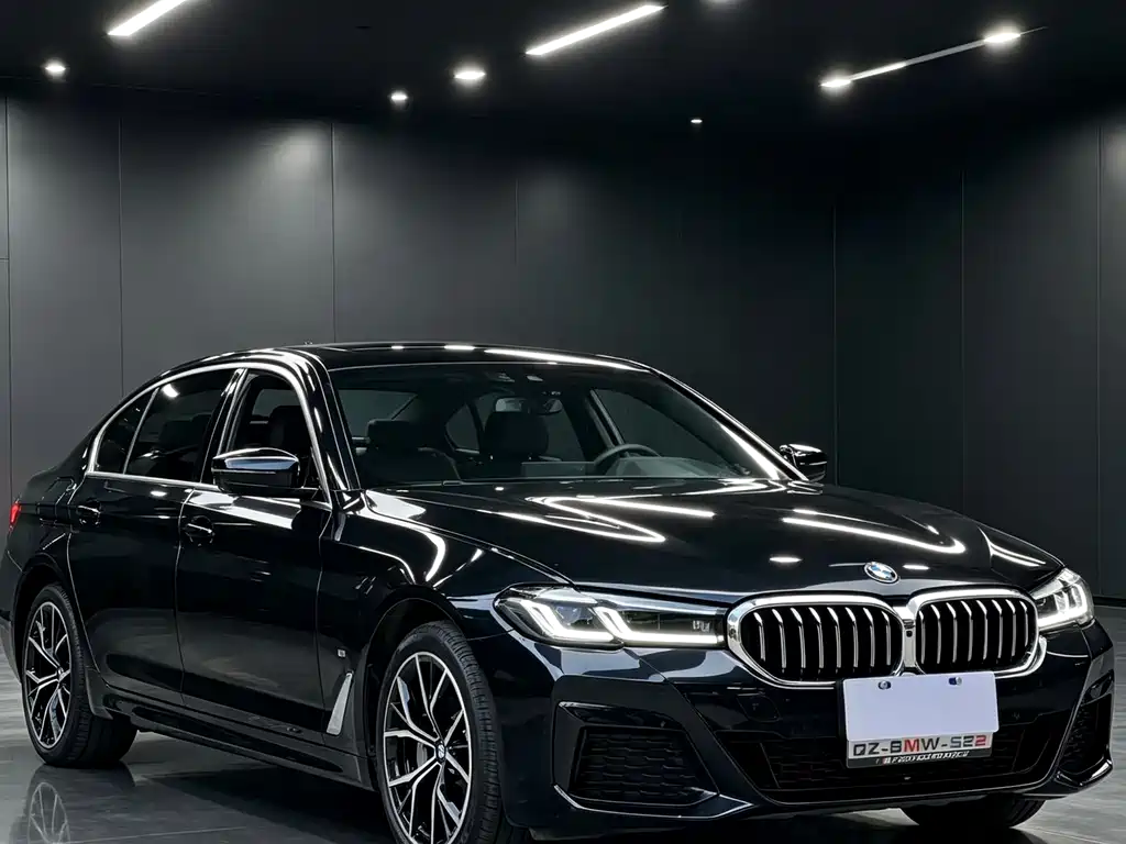BMW 5 Series — миниатюра 3