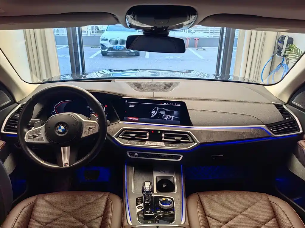 BMW X5 — миниатюра 8