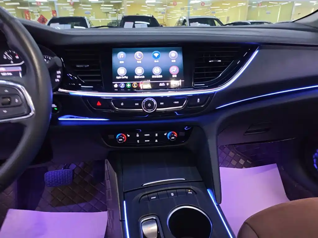 Buick Regal — миниатюра 13