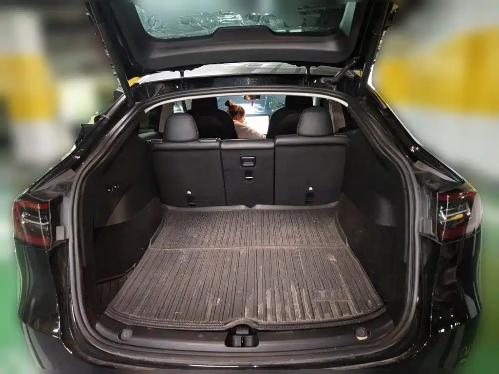Tesla Model Y — миниатюра 15