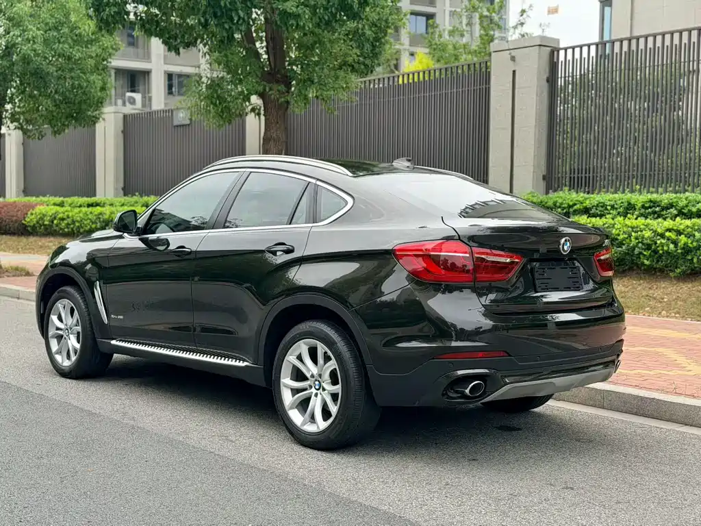BMW X6 — миниатюра 12