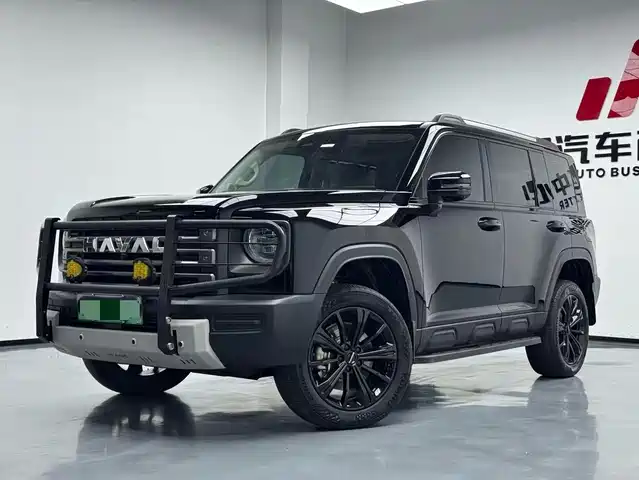 HAVAL  RAPTORS NEW ENERGY 2024