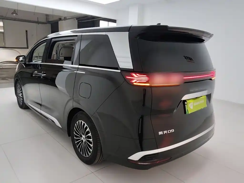 Denza Denza D9 — миниатюра 5