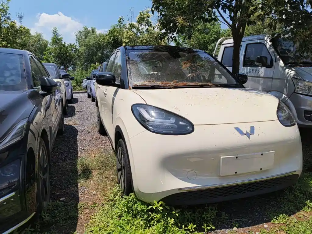 Wuling Binguo 2025 333km