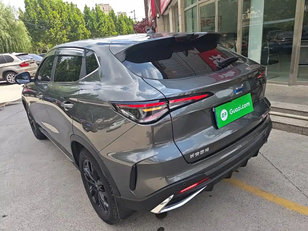 Oshan Oushang X5 PLUS — миниатюра 5