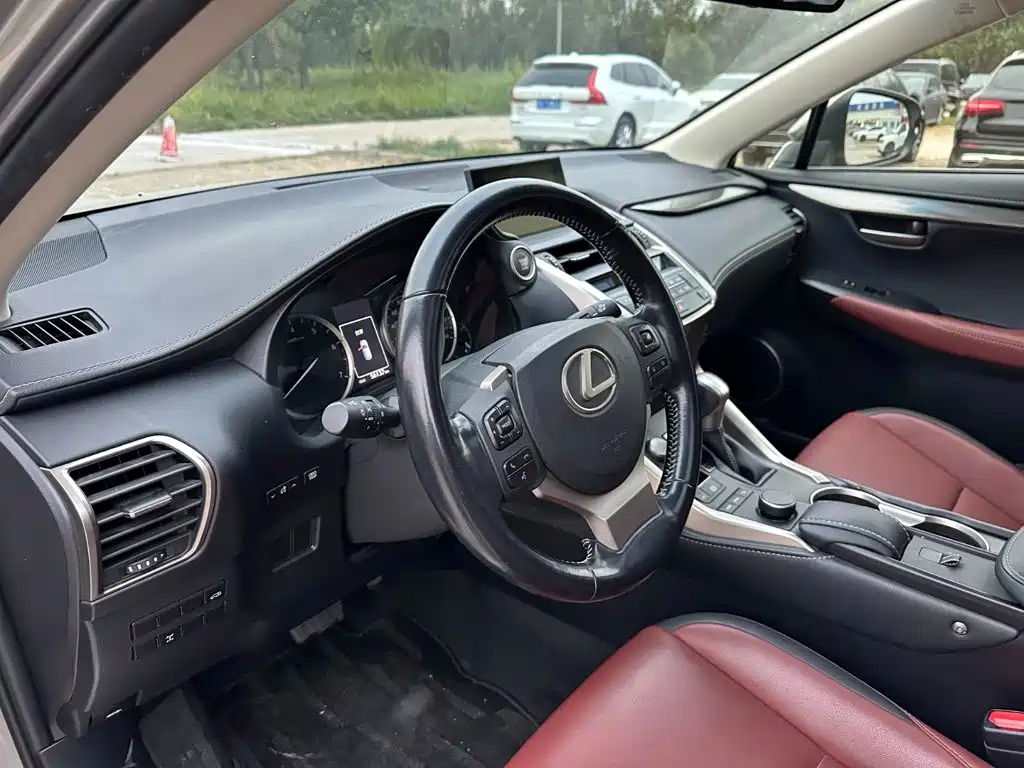 Lexus NX — миниатюра 14