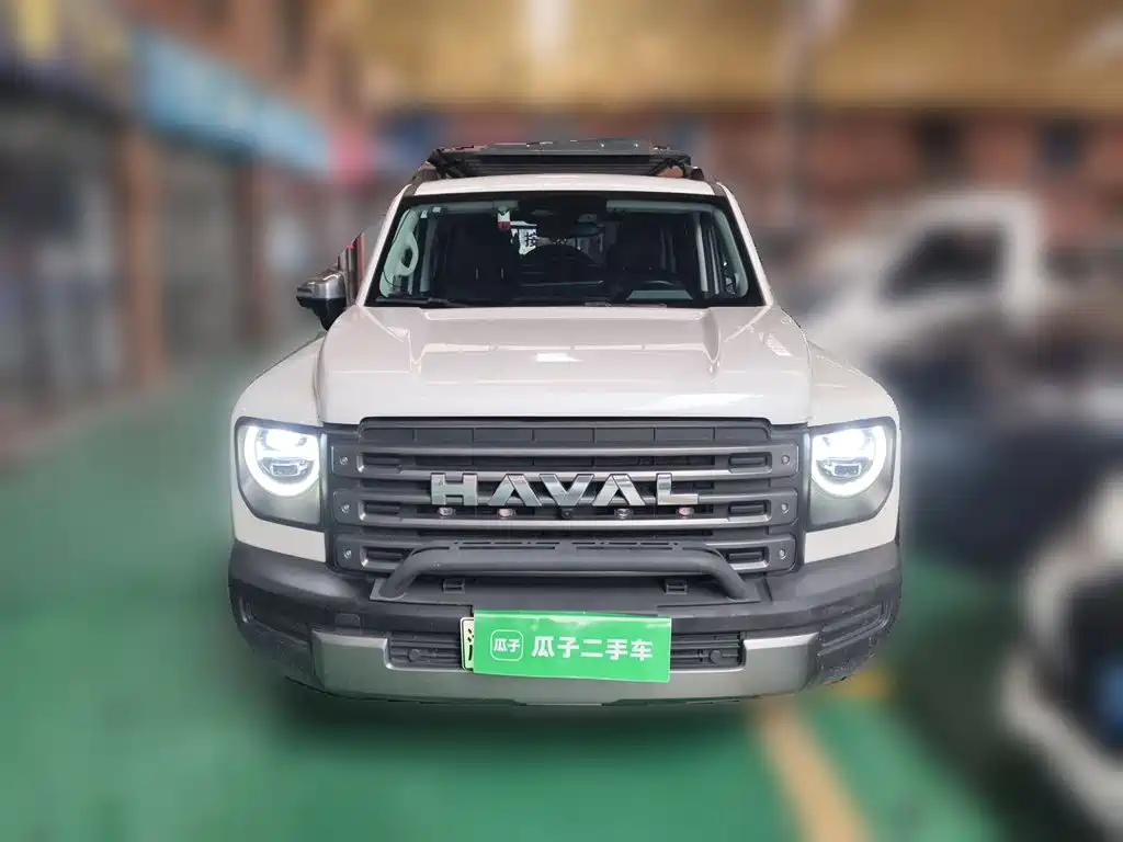 Haval Menglong New Energy — миниатюра 2