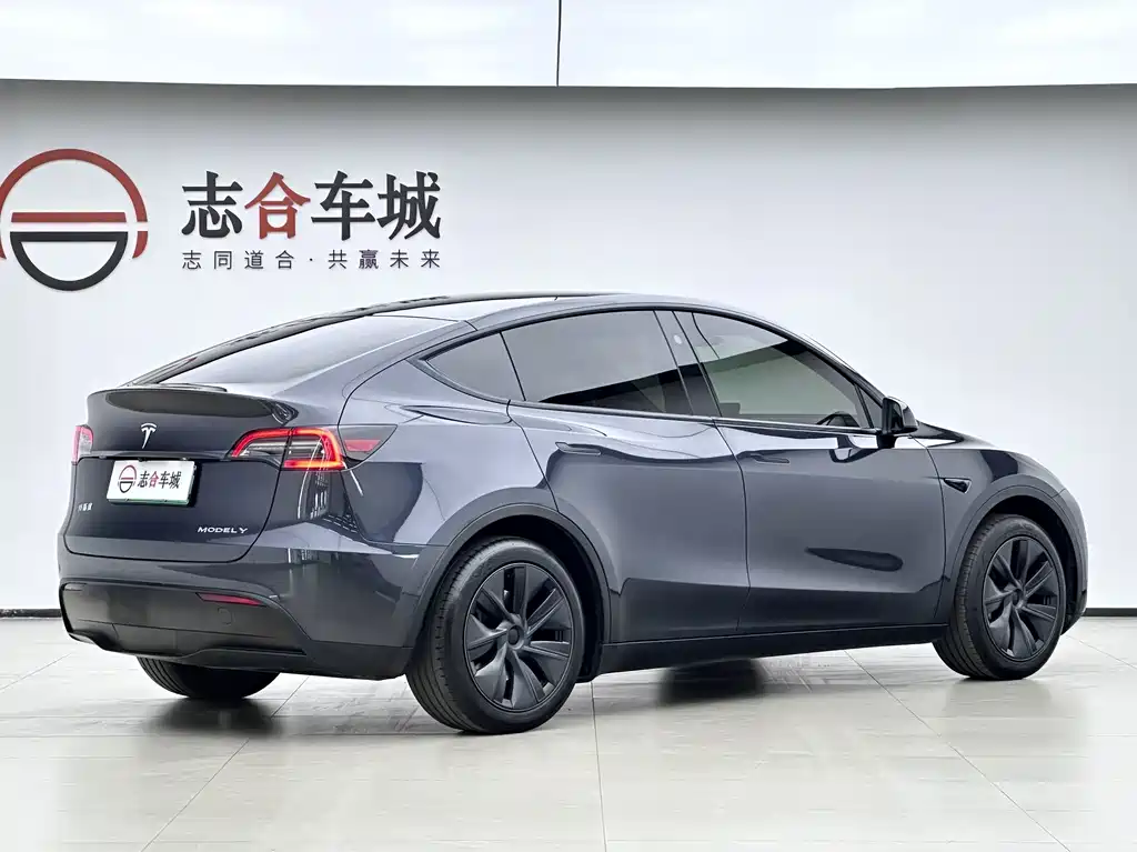 Tesla Model Y — миниатюра 2