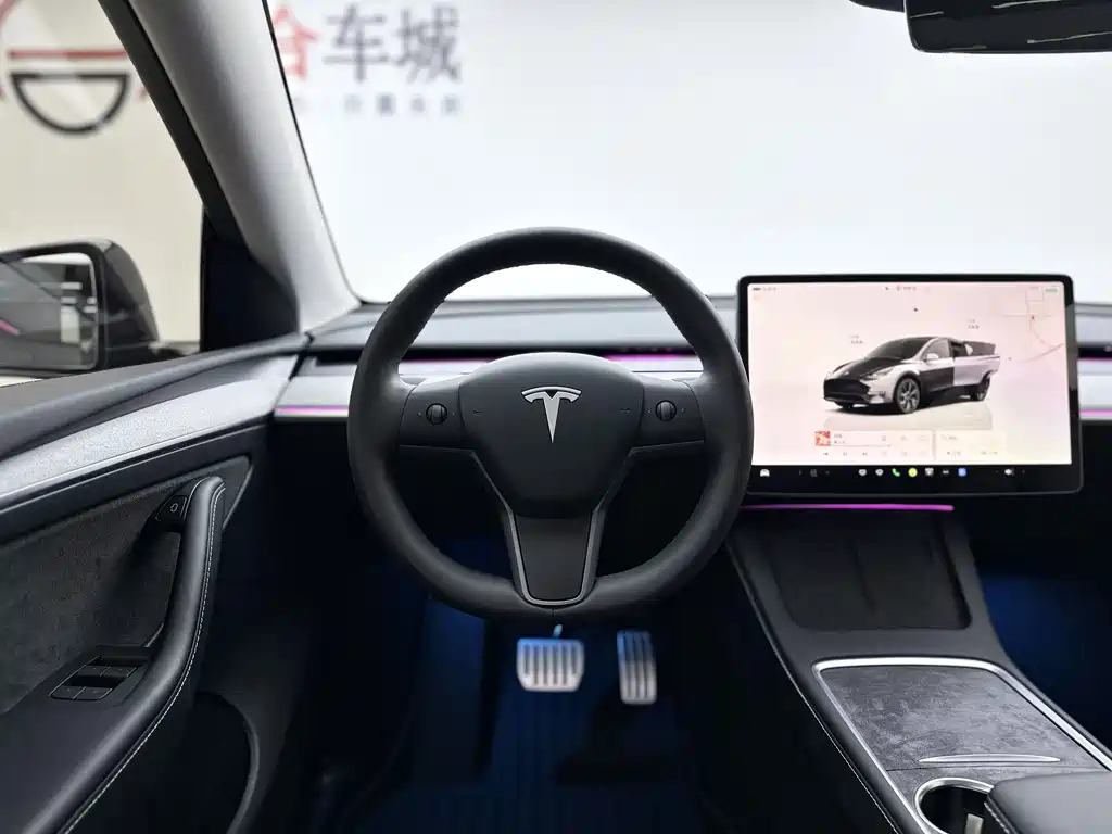 Tesla Model Y — миниатюра 7