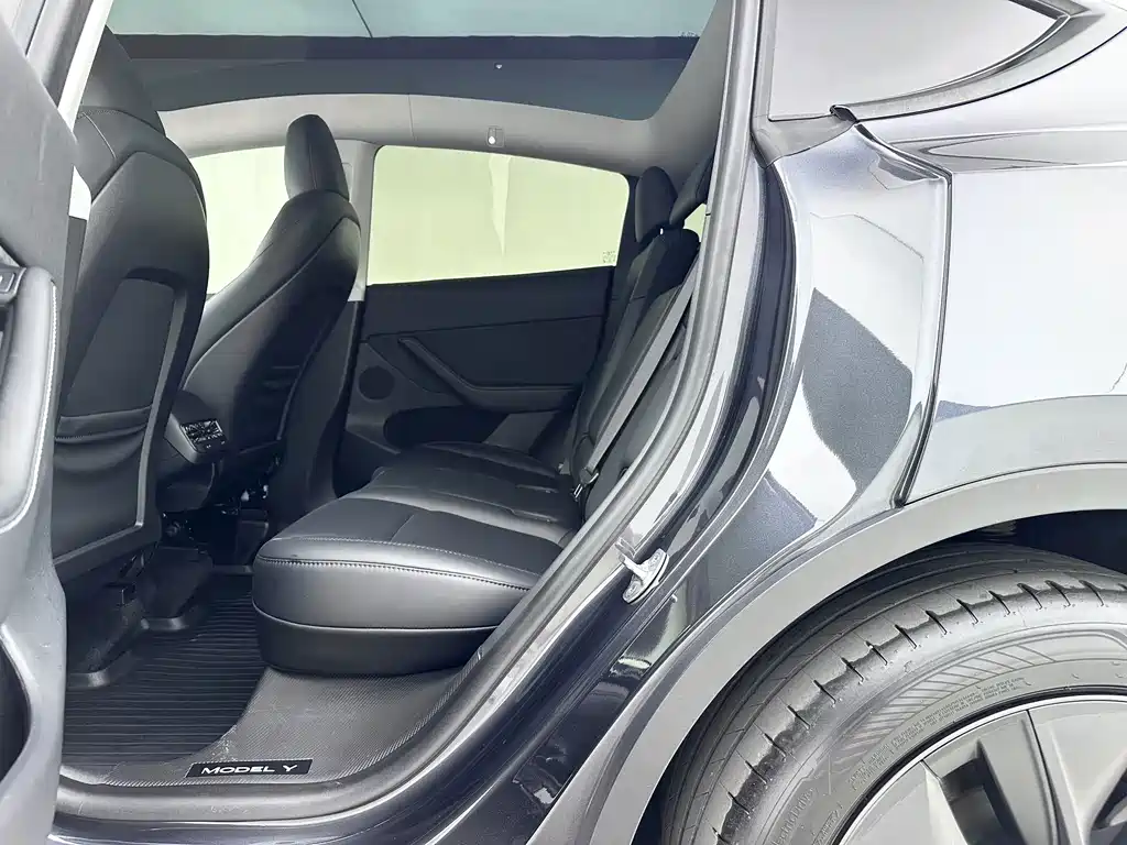 Tesla Model Y — миниатюра 6