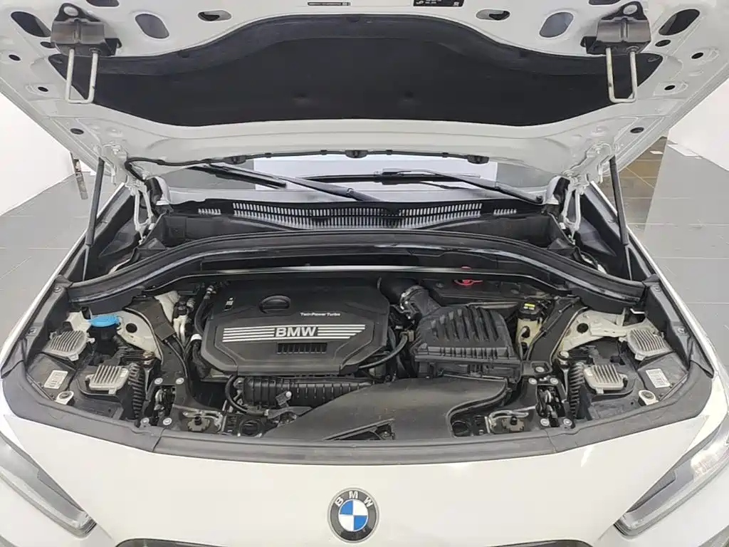 BMW X2 (Import) — миниатюра 20