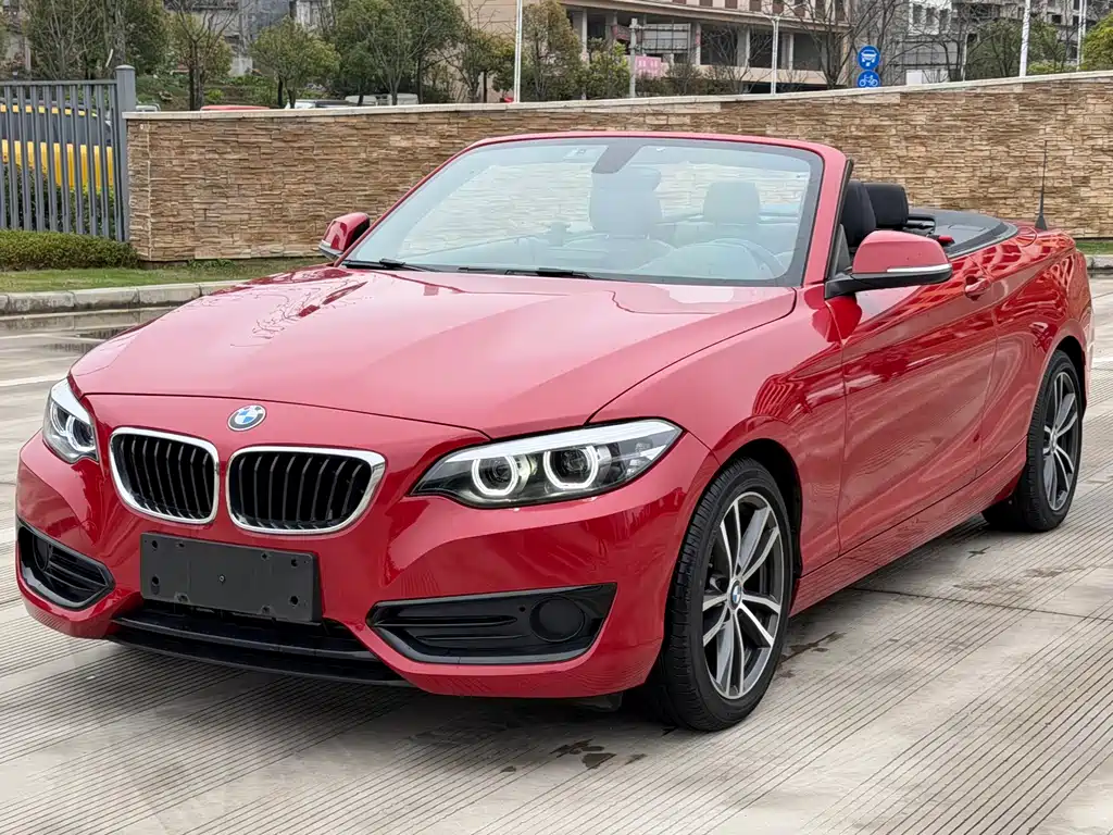 BMW 2 Series (Import) 2018