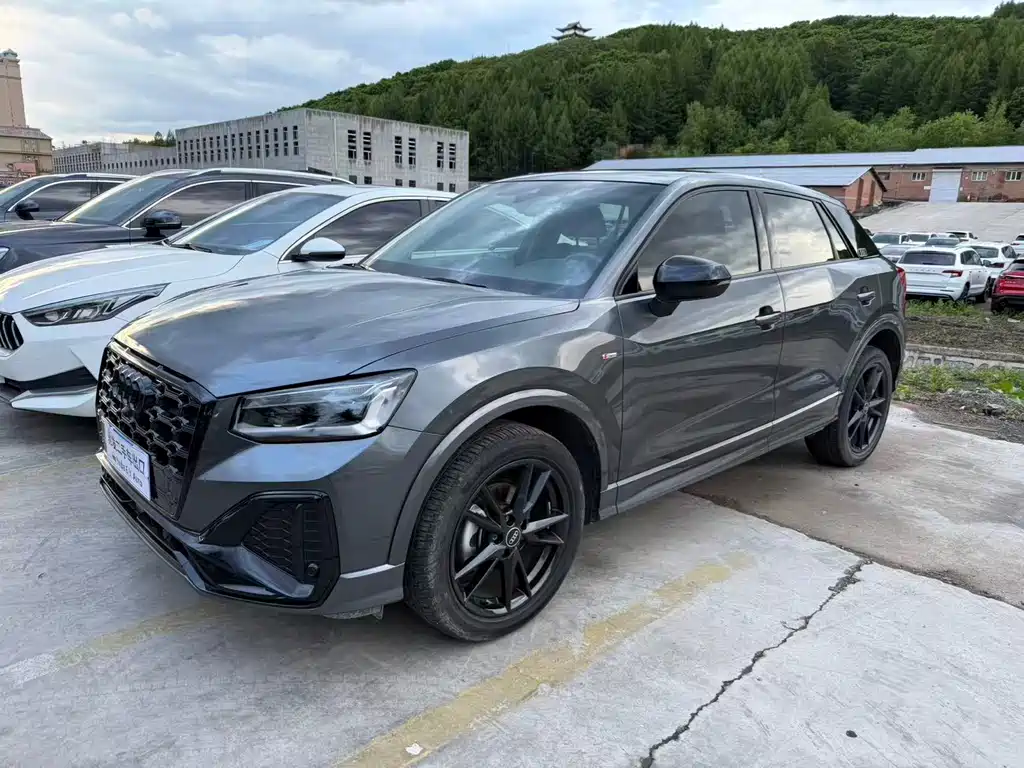 Audi Q2L 2022